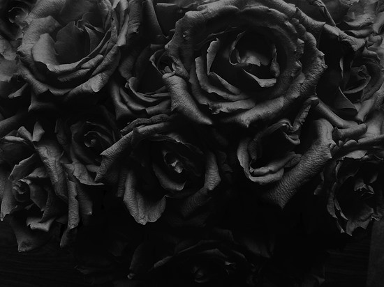 Страшилка «10 черных роз» картинка