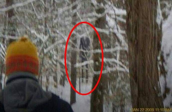 слендермен фото реальное