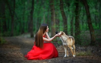 Девушка в красном платье и собака страшная история