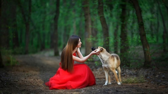 Девушка в красном платье и собака страшная история