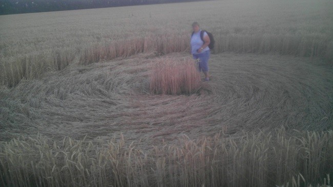 Круги на полях