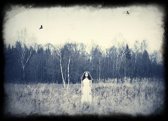 страшные истории про тайгу картинка и фото