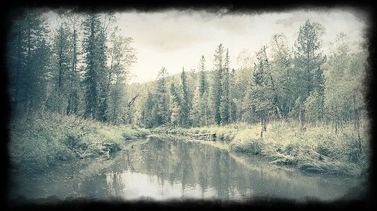 тайга страшные истории картинка