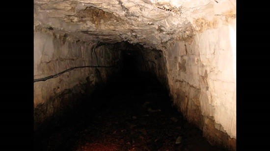 Призраки подвала ведьмы Белл фото