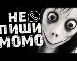 не пиши момо картинка