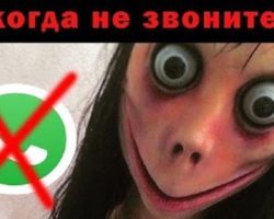 не звоните момо