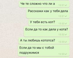 скрин переписки с момо