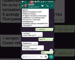 живая переписка с момо по номеру телефона