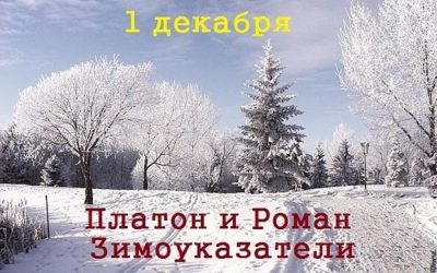 1 декабря картинка