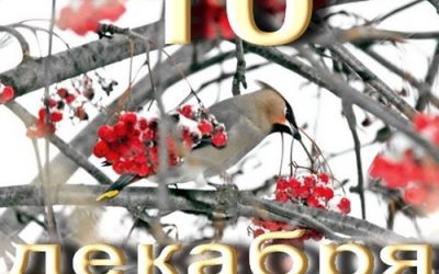 праздник 10 декабря картинка