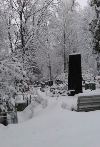 фото с кладбища 1