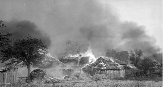 горят дома фото