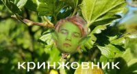 CGQLMRIRU5E.jpg