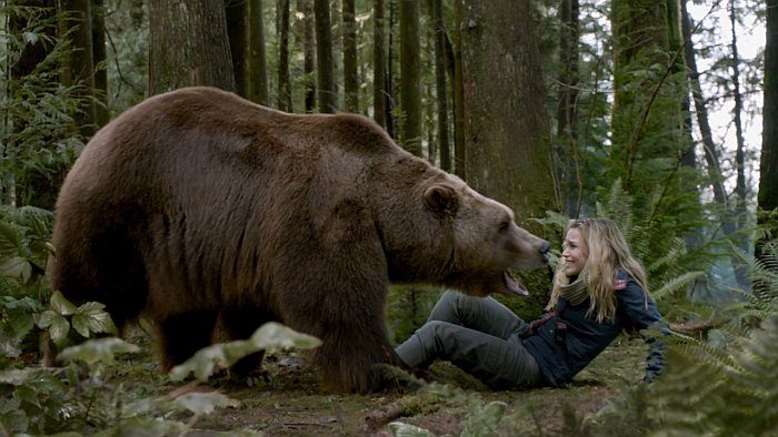 медведь и девушка