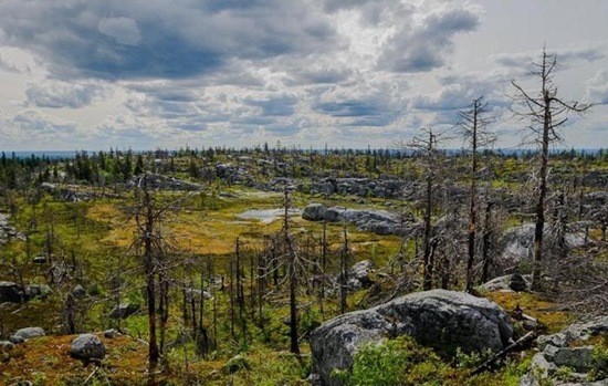 Чертова поляна фото