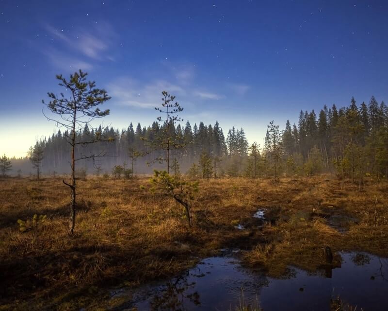 Чертово болото фото