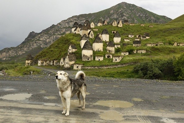 даргавс город