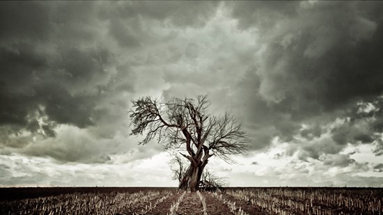 дерево смерти