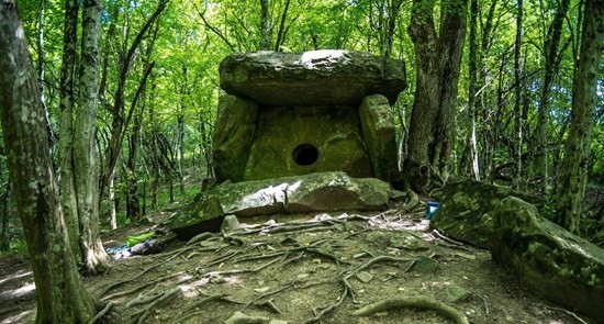 дольмен в лесу