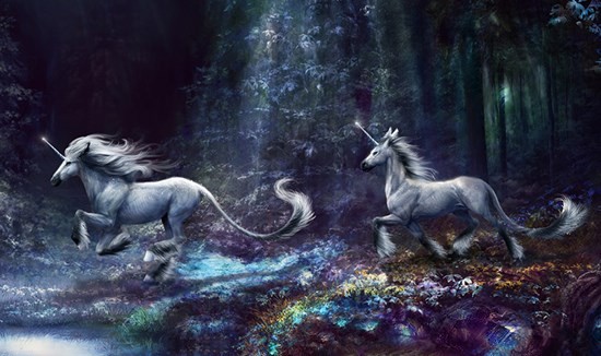 единороги в лесу
