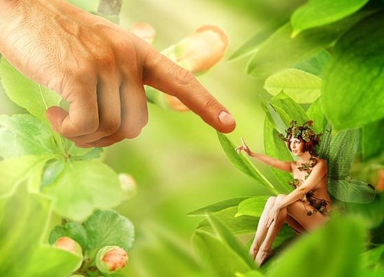 феи мифология