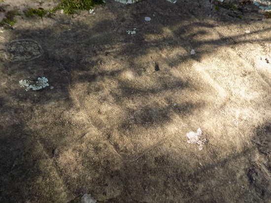 фото лес Лесо-Кефарь