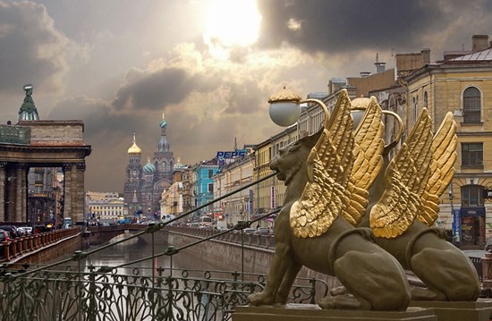 грифоны спб