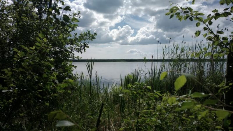 Ивачевское озеро Череповец