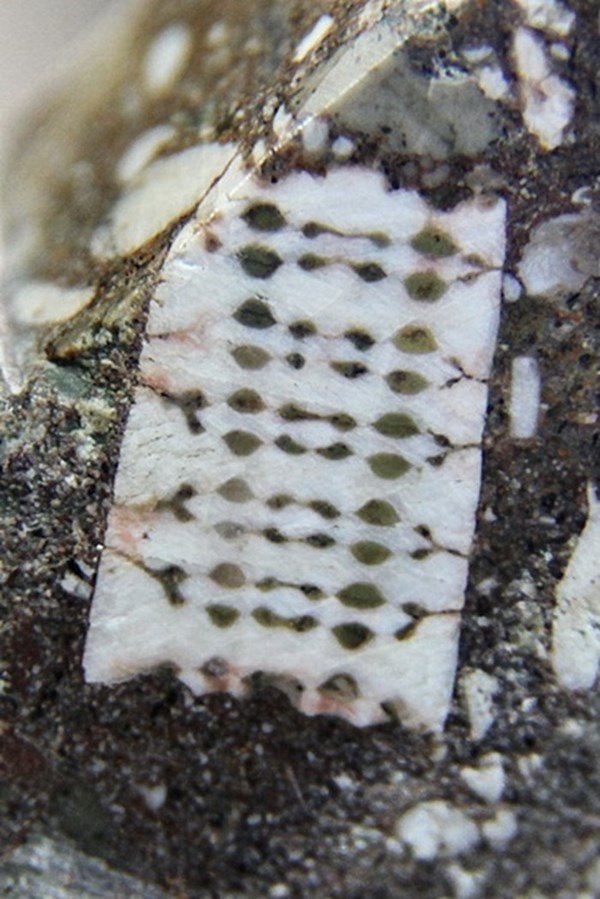 камень с микрочипом