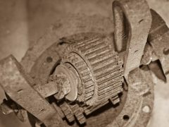 Коралловый замок фото 13