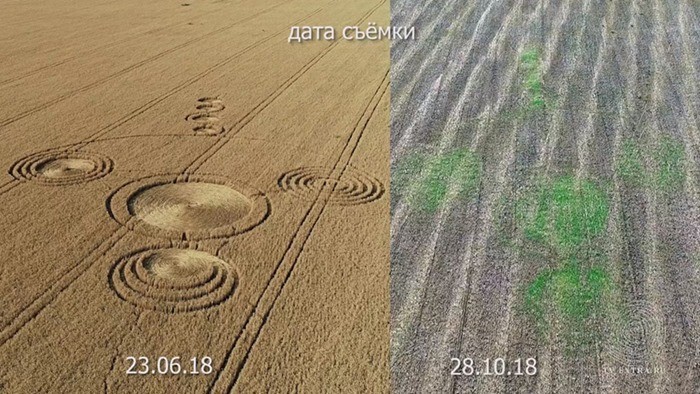 круги на полях фото