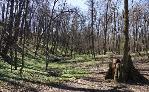 Кунцевское городище фото