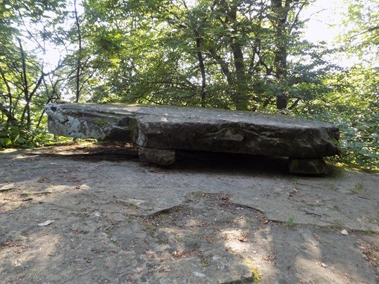 лес фото Лесо-Кефарь