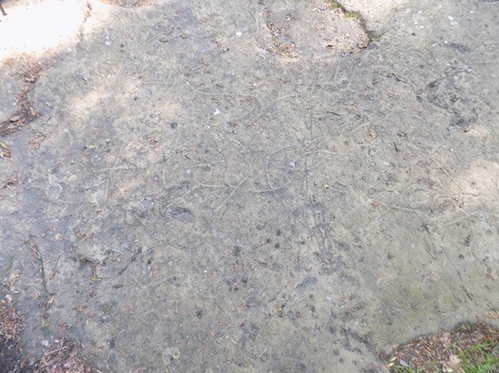 Лесо-Кефарь фото