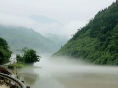 Лощина чёрного бамбука фото 12
