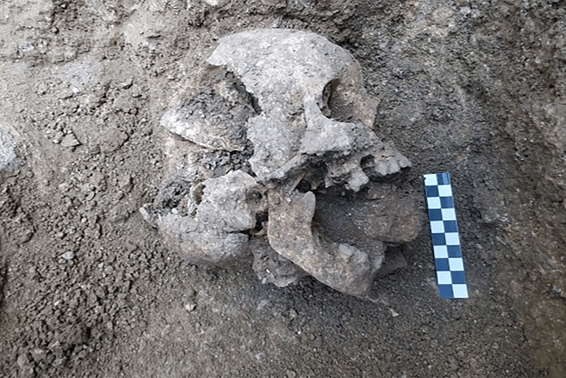 Могила вампира фото черепа