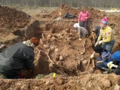 Мончаловский лес 4