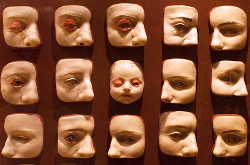 Музей медицинской истории Мюттера фото