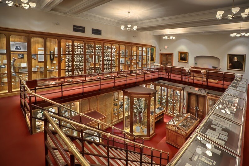 Музей медицинской истории Мюттера внутри