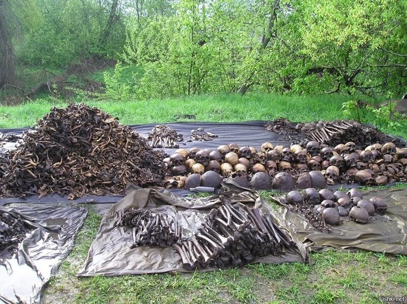 Мясной Бор фото костей