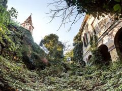 Остров Повеглия фото 9