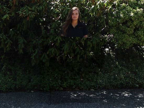 панель невидимка