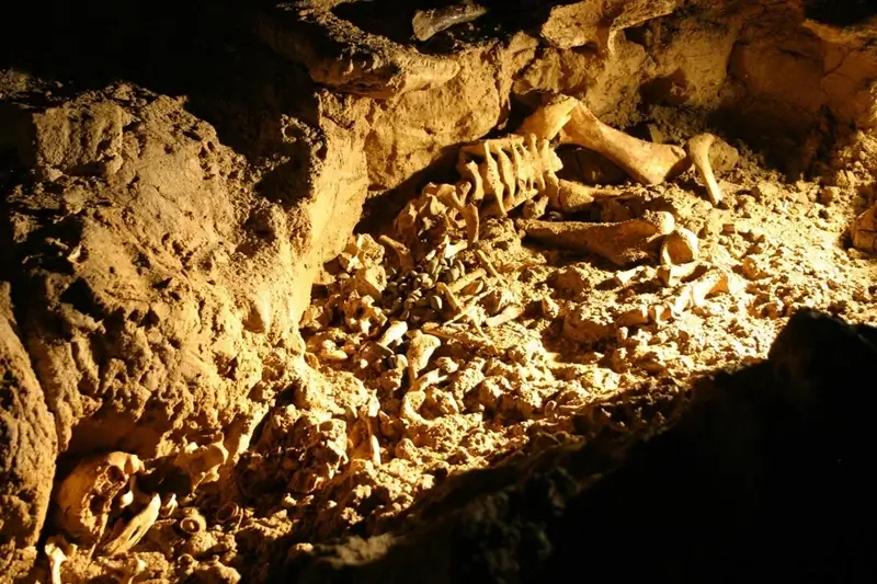 Пещера скелетов внутри