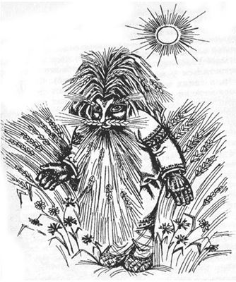 полевой миф