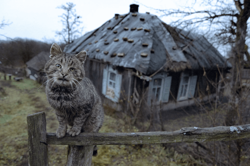 Посёлок Растесс фото