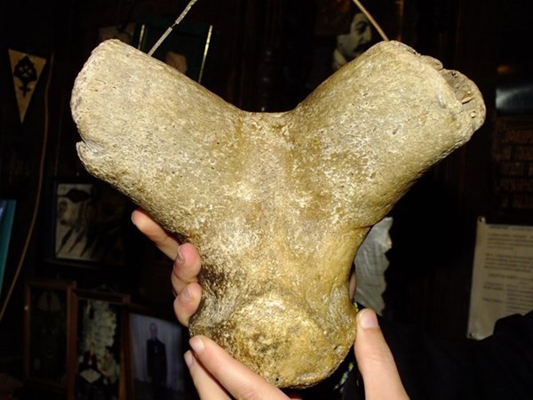 реальный Череп инопланетянина