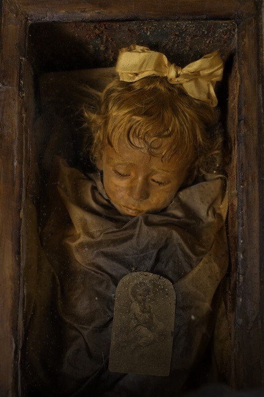 Розалия Ломбардо фото