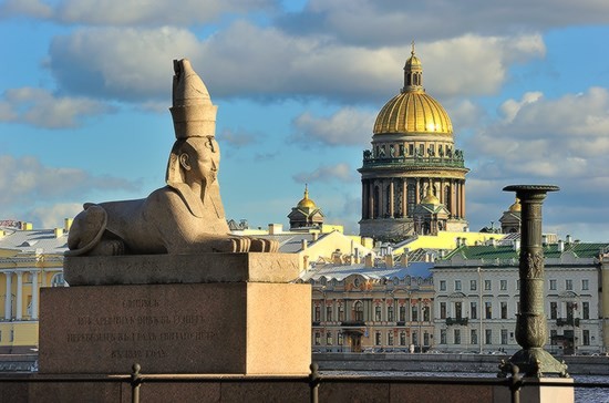 сфинксы спб