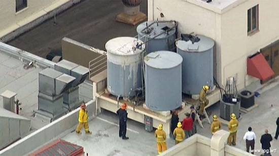 смерть Элизы Лэм