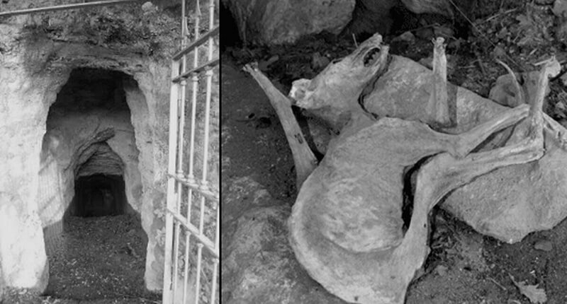 Собачья пещера в Италии